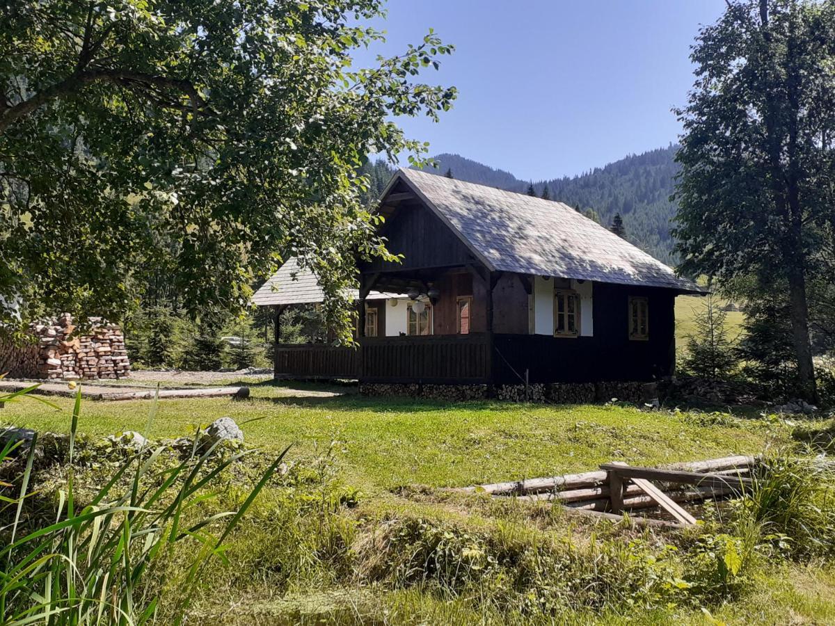La Malu' Bistritei - Casutele Valea Stanii Hotel Bagian luar foto